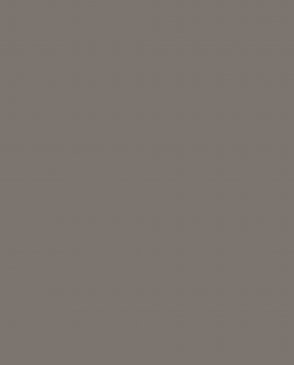 Обои Loymina Lotus Universe LOT2-503 изображение 0