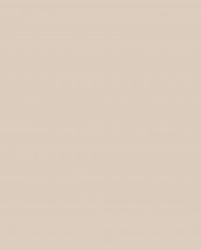 Обои Loymina Lotus Universe LOT2-705 изображение 0