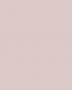 Обои Loymina Lotus Universe LOT2-804 изображение 0