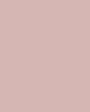 Обои Loymina Lotus Universe LOT2-805 изображение 0