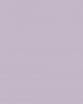 Обои Loymina Lotus Universe LOT2-807 изображение 0