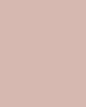 Обои Loymina Lotus Universe LOT2-901 изображение 0