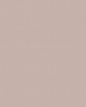 Обои Loymina Lotus Universe LOT2-902 изображение 0