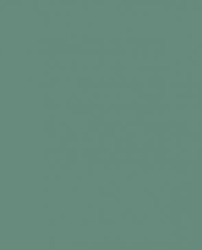 Обои Hygge Made in Russia MIR6-005-5