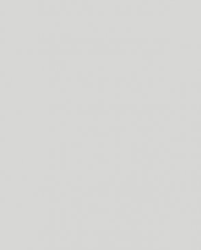 Обои Made in Russia MIR6-008 изображение 0