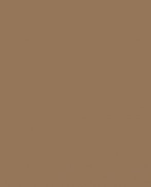 Обои флизелиновые коричневые Окинава OK7-012-1 изображение 0
