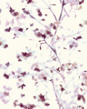 Обои бумажные для спальни Outdoors In ON1606 изображение 0