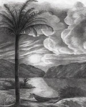 Обои Decoprint NV Onirique OND22090