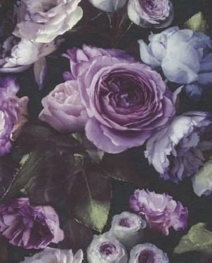 Обои Grandeco Opulence OS3011