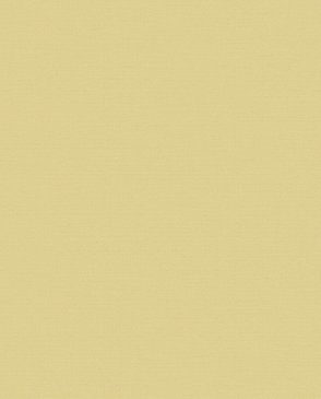 Обои LOYMINA флизелиновые желтые Equator QTR8-005-3 изображение 0