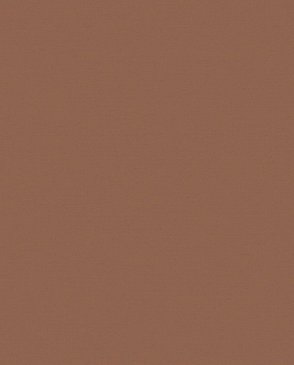 Обои однотонные коричневые Equator QTR8-022-1 изображение 0