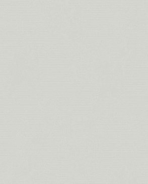 Обои Special Edition R211013 изображение 0