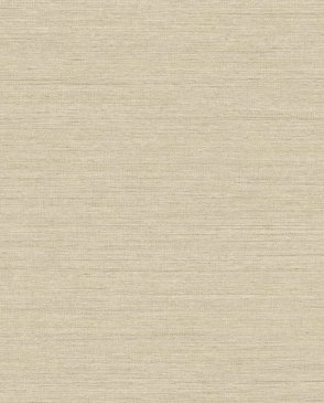 Американские Обои Raffia RA40910 изображение 0
