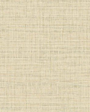 Американские Обои Raffia RA45107 изображение 0