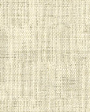 Американские Обои Raffia RA45303 изображение 0