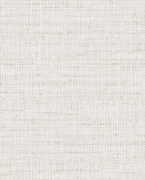 Американские Обои Raffia RA45308 изображение 0