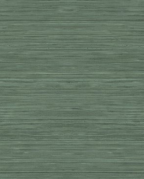Обои метражные зеленые Textures RC15328 изображение 0