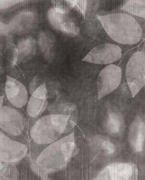 Фрески Affresco с листьями черные New Art RE159-COL1 изображение 0