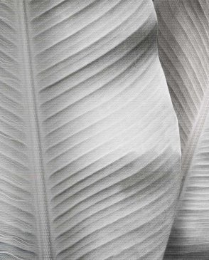 Фрески с листьями с акриловым покрытием New Art RE196-COL4 изображение 0