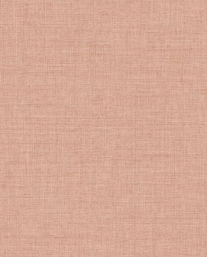 Обои Alessandro Allori Giorgio RGI1004-15