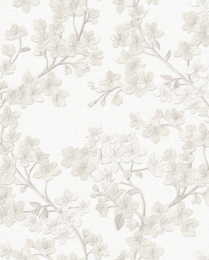 Обои Alessandro Allori Giorgio RGI1007-1