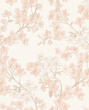 Обои Alessandro Allori Giorgio RGI1007-2