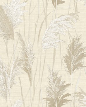 Обои Alessandro Allori Giorgio RGI1009-2