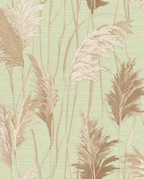 Обои Alessandro Allori Giorgio RGI1009-5