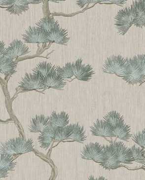 Обои Alessandro Allori Giorgio RGI1001-5