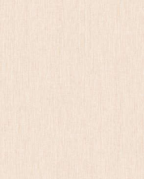 Обои Alessandro Allori Giorgio RGI1002-12