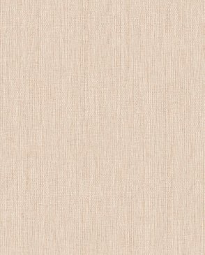 Обои Alessandro Allori Giorgio RGI1002-13