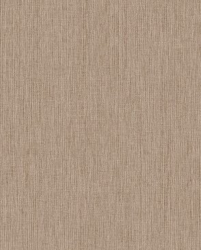 Обои Alessandro Allori Giorgio RGI1002-14