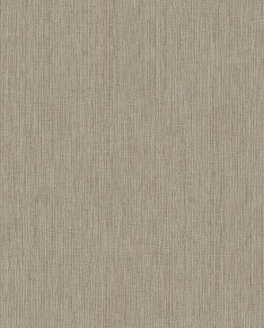 Обои Alessandro Allori Giorgio RGI1002-4