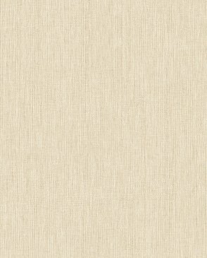 Обои Alessandro Allori Giorgio RGI1002-6