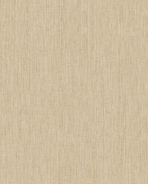 Обои Alessandro Allori Giorgio RGI1002-7