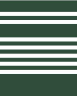 Обои YORK зеленые Stripes Resource Library SR1618 изображение 0