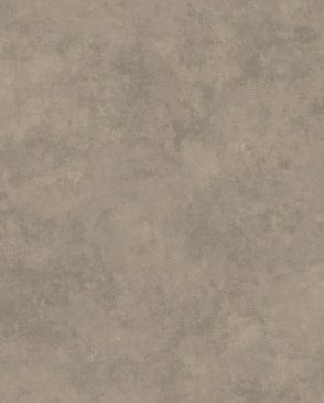 Обои Loymina Stucco STC5-005 изображение 0