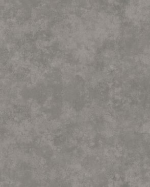 Обои Loymina Stucco STC5-008 изображение 0