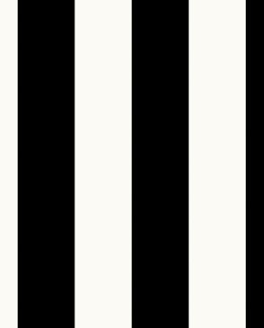 Обои для коридора черно-белые Simply Stripes SY33918 изображение 0