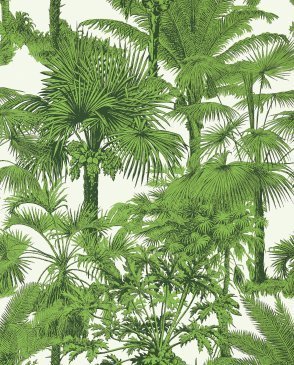 Обои THIBAUT с листьями Tropics T10103 изображение 0
