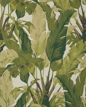Обои THIBAUT с листьями для спальни Tropics T10131 изображение 0