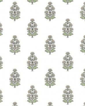 Обои Thibaut Boxwood Boxwood T10522 изображение 0