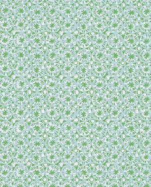 Обои Thibaut Islander T15856 изображение 0