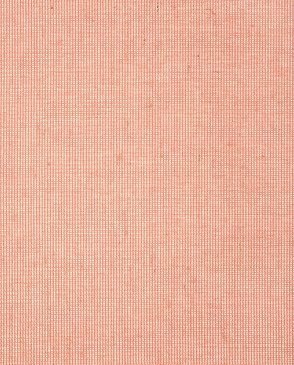 Обои THIBAUT розовые Grasscloth Resource 5 T24107 изображение 0
