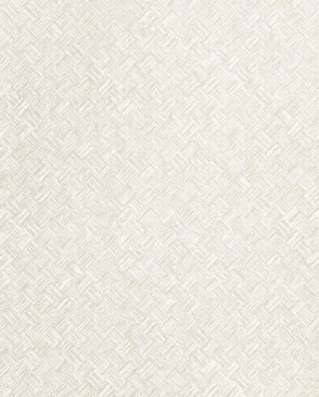 Обои Thibaut Texture Resource 9 Texture Resource 9 T34058 изображение 0