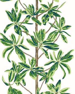 Обои Thibaut Wanderlust T45035 изображение 0