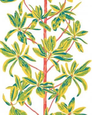 Обои Thibaut Wanderlust Wanderlust T45036 изображение 0