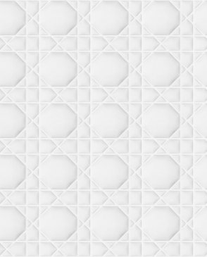 Обои белые Volume Touch Cannage TDI007 изображение 0