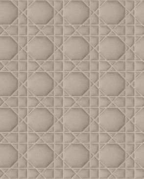 Обои бежевые Volume Touch Cannage TDI012 изображение 0