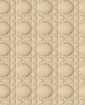 Обои бежевые Volume Touch Cannage TDI013 изображение 0